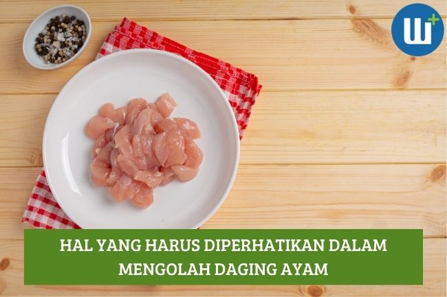 Hal yang Harus Diperhatikan dalam Mengolah Daging Ayam